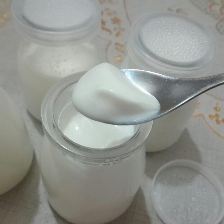 电饭锅版自制酸奶