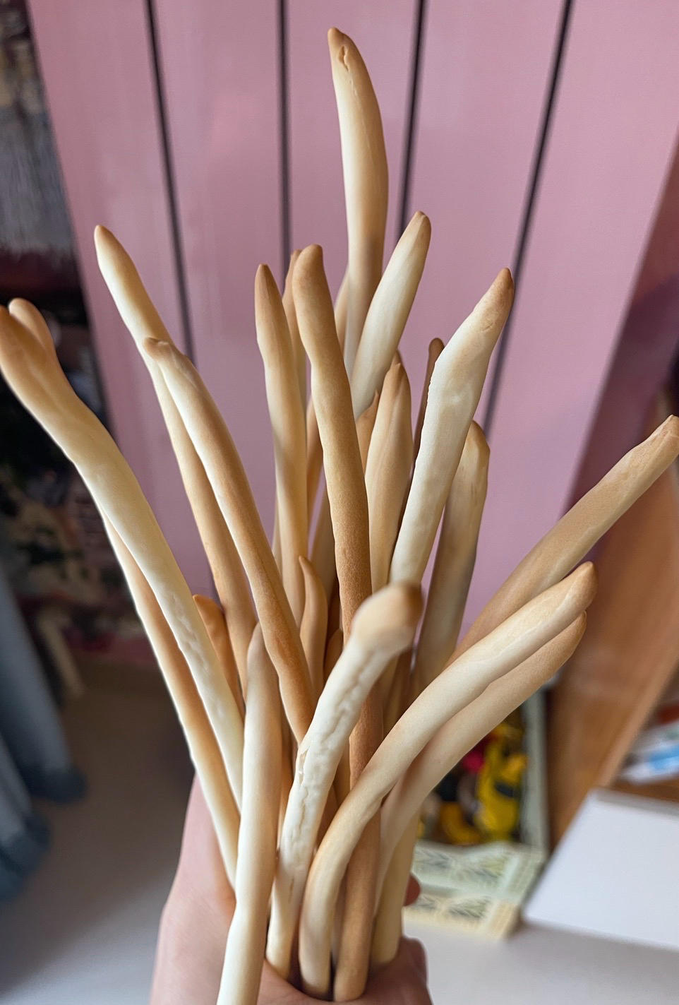 萨伏伊公国的传奇 Grissini面包棍