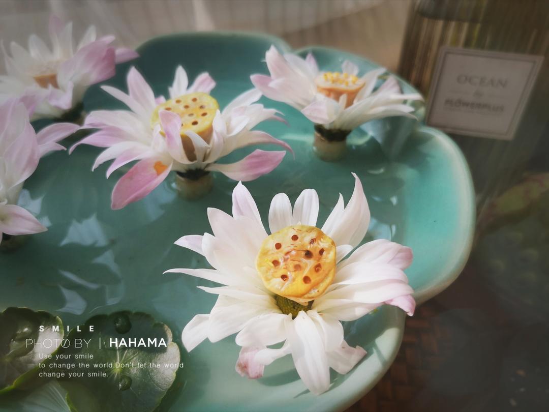 宋菜，莲房鱼包《山家清供》夏日文人古菜谱，荷叶荷花的做法