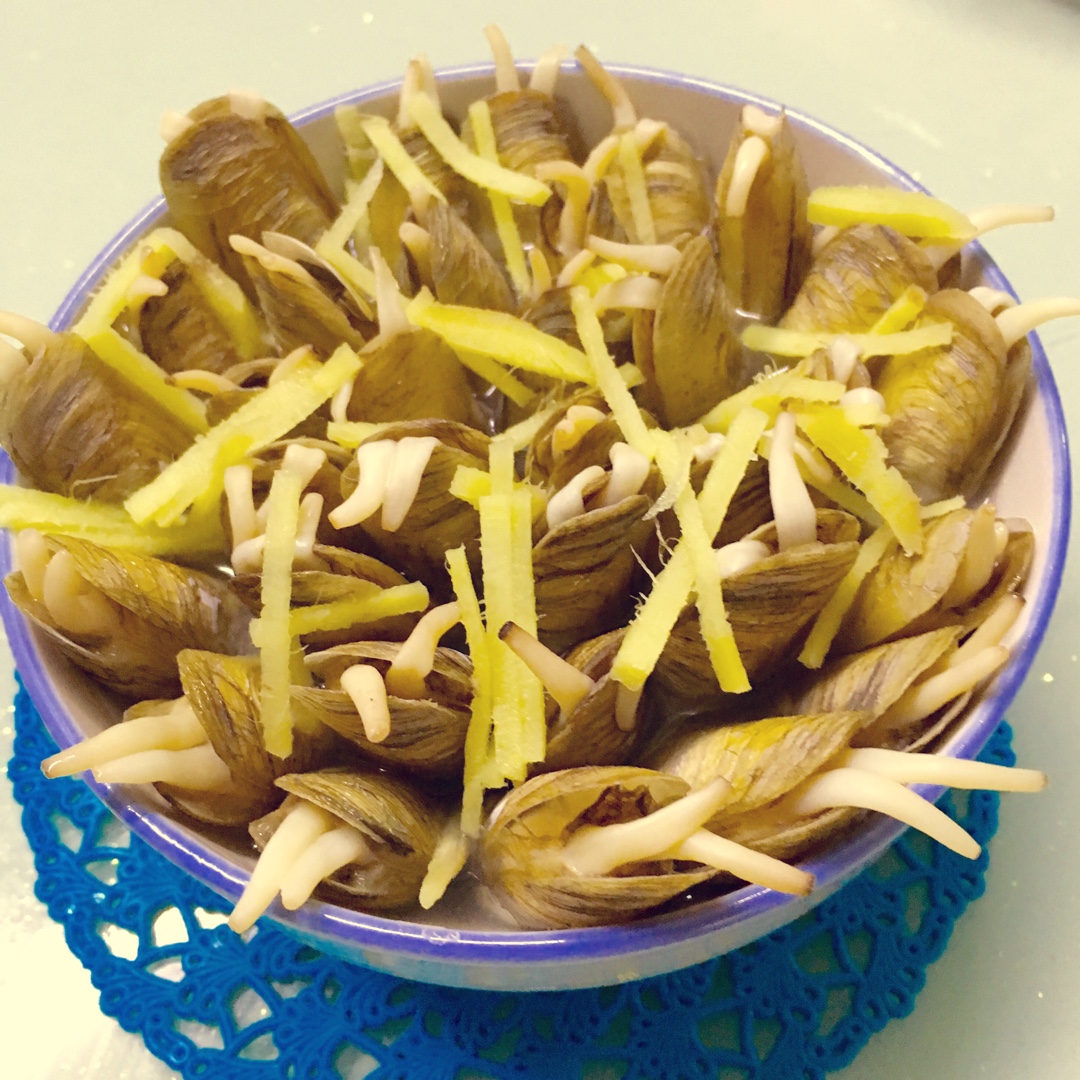 原汁原味的插蛏（蛏子）