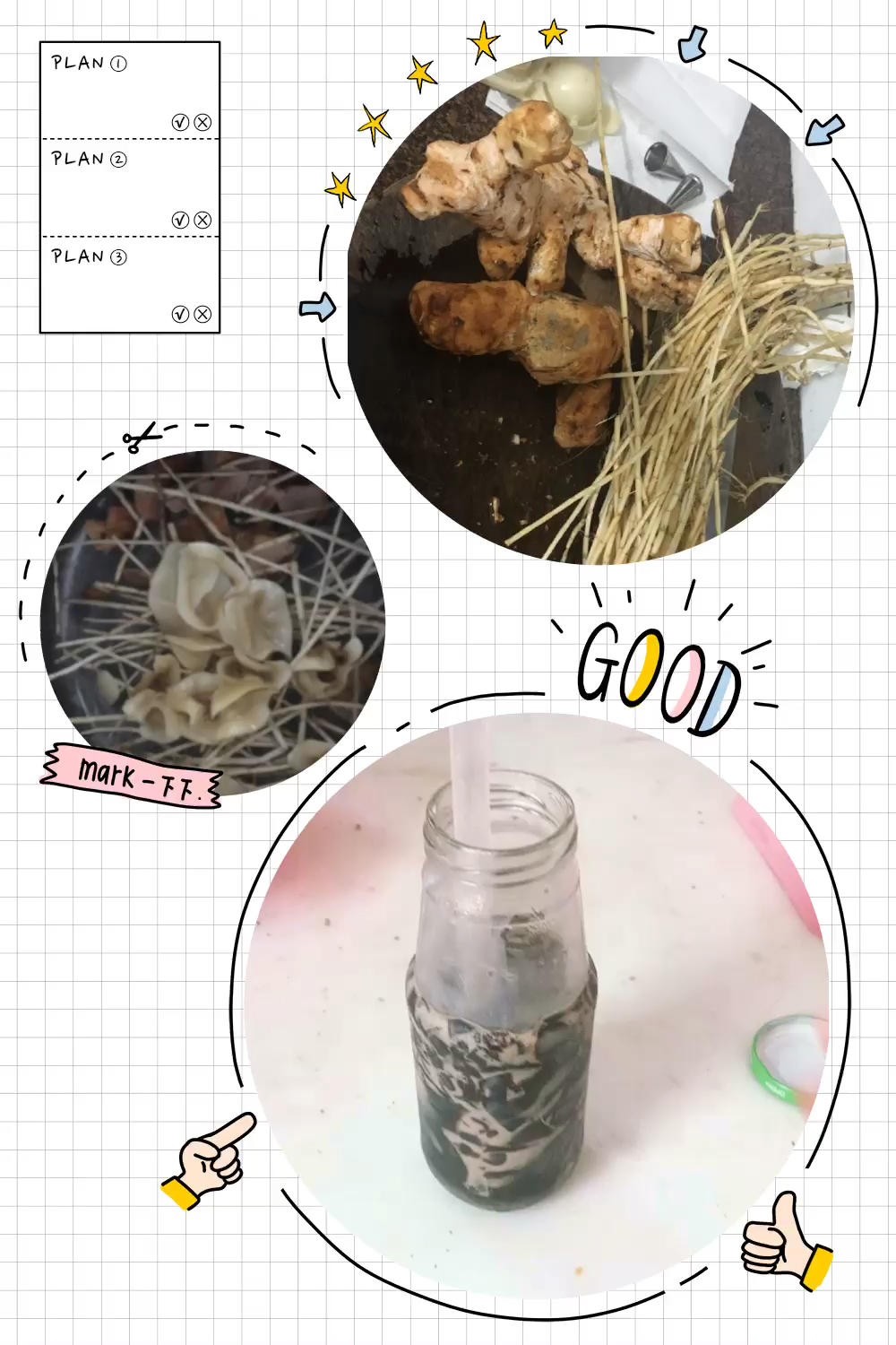去湿土茯苓膏