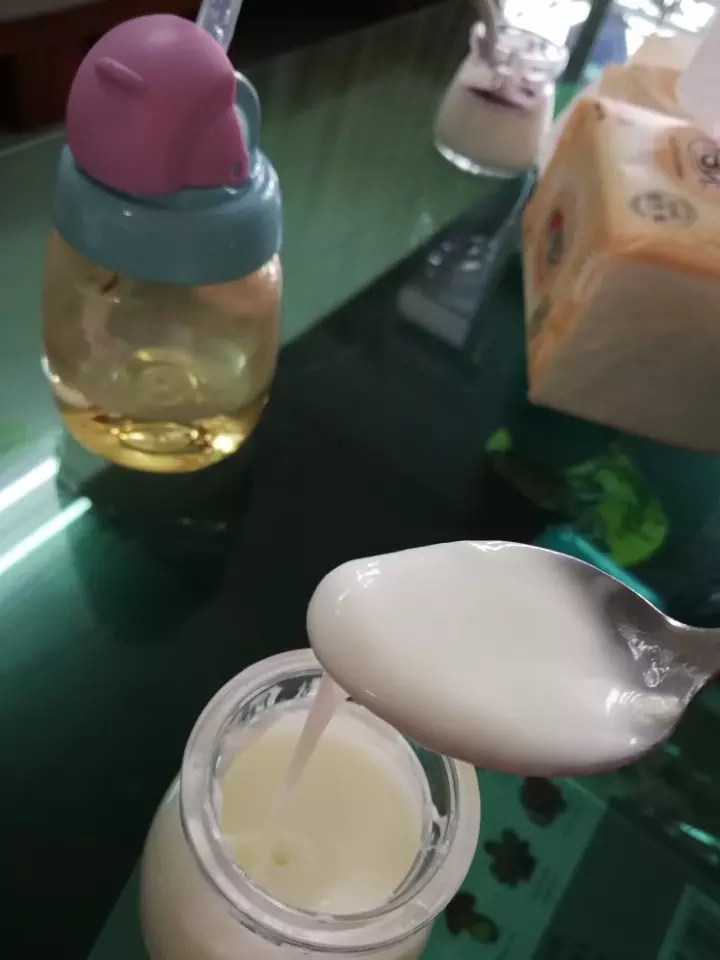 自制原味酸奶（酸奶机和烤箱发酵两种做法都有）