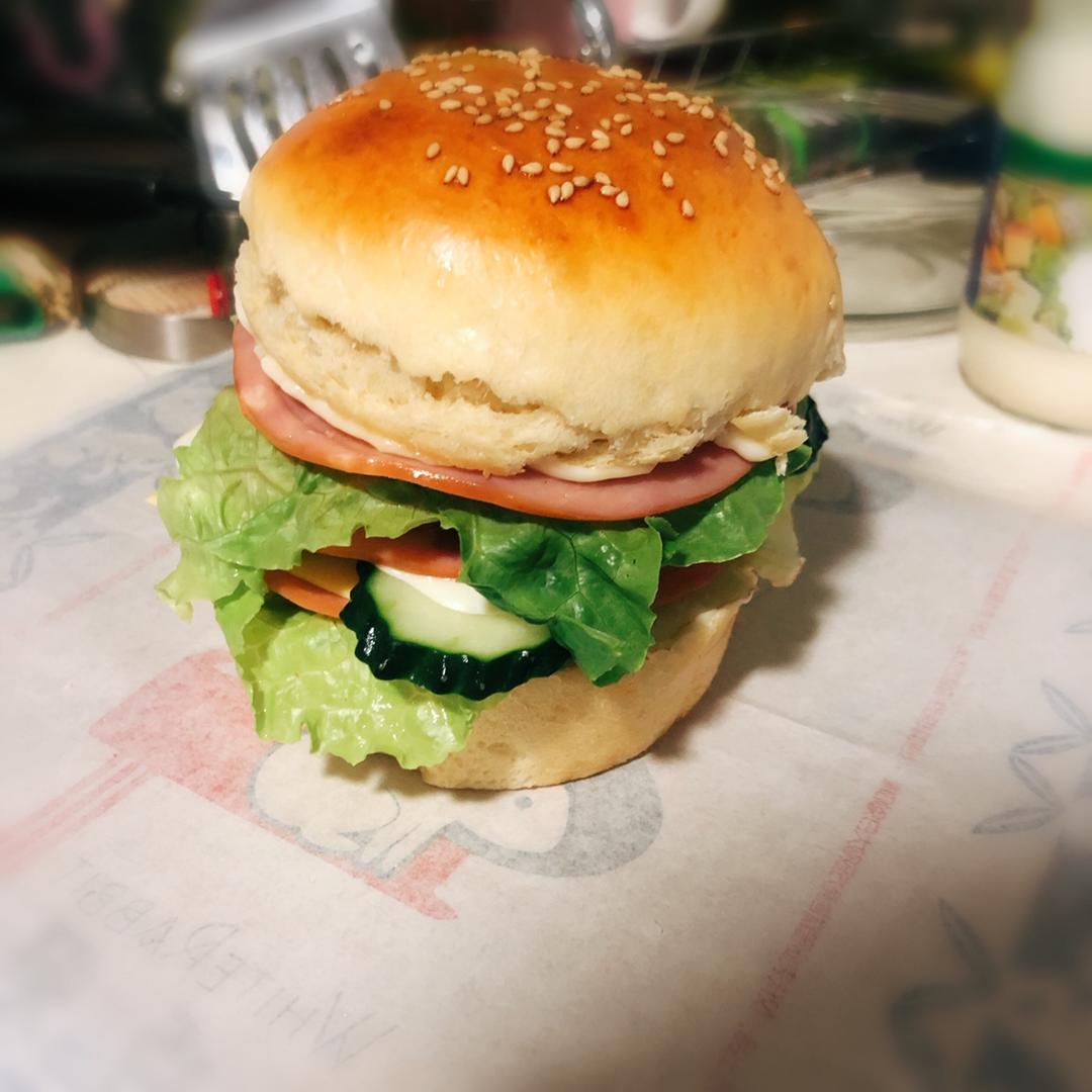 汉堡面包/面坯（波兰种）