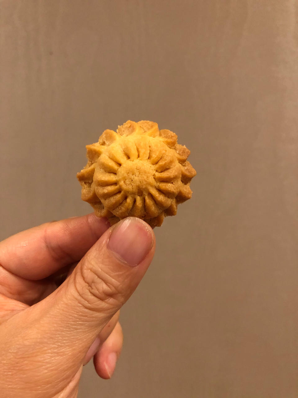 绿野仙踪爱面包的曲奇饼干方子