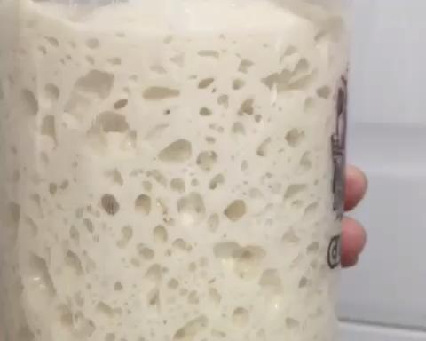 自制天然酵母液和酵种 自制天然酵母液和酵种