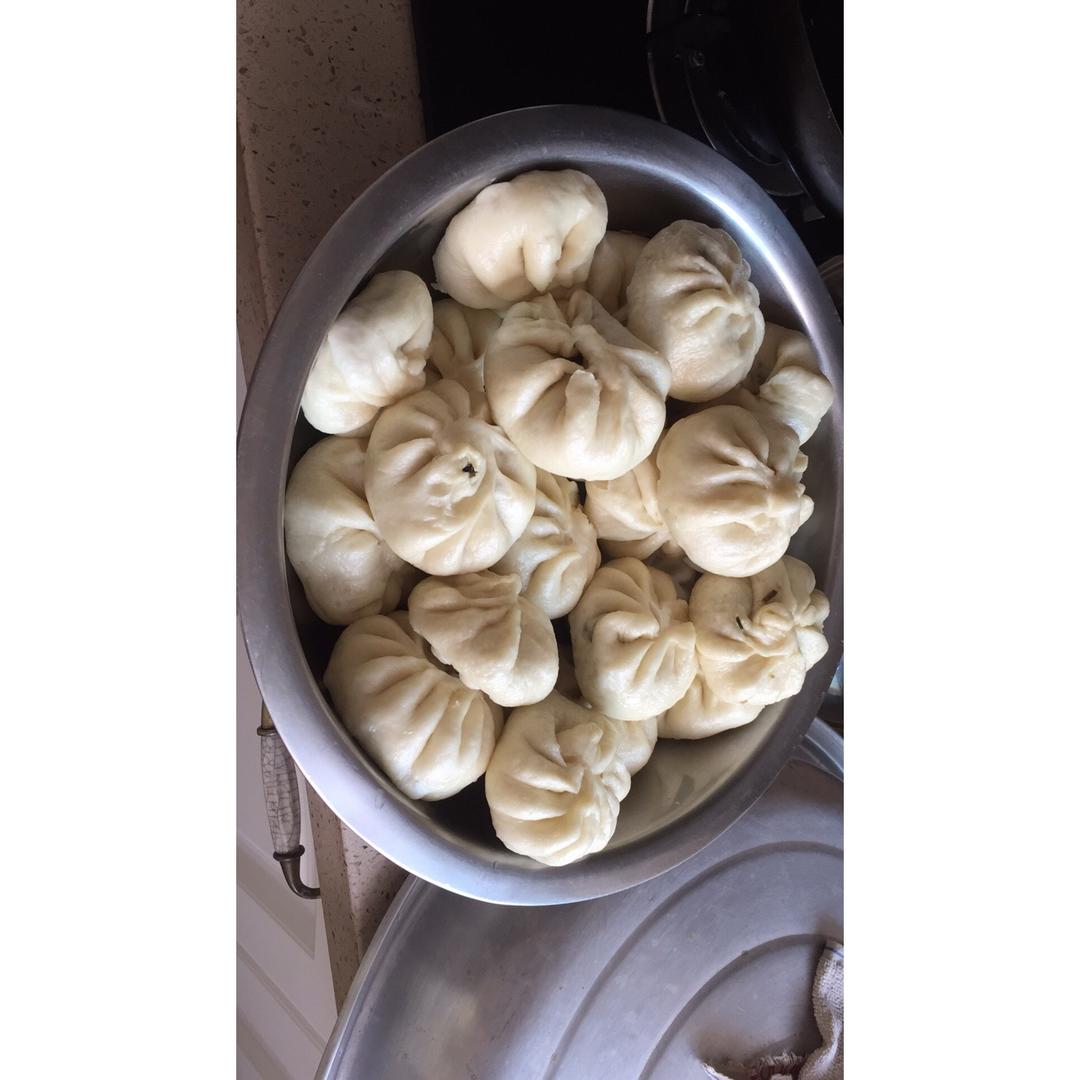 家庭手工肉馅大包子