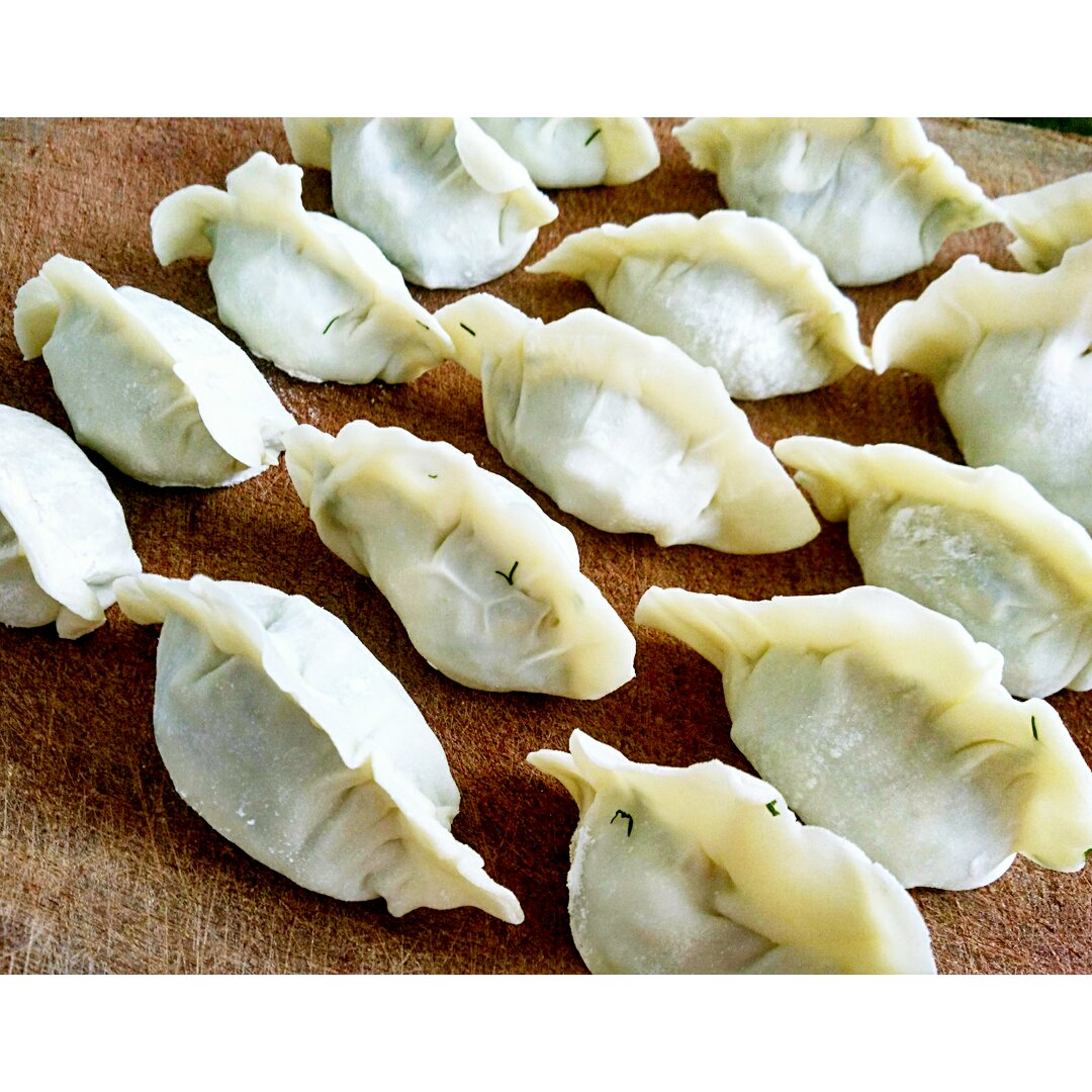 茴香饺子
