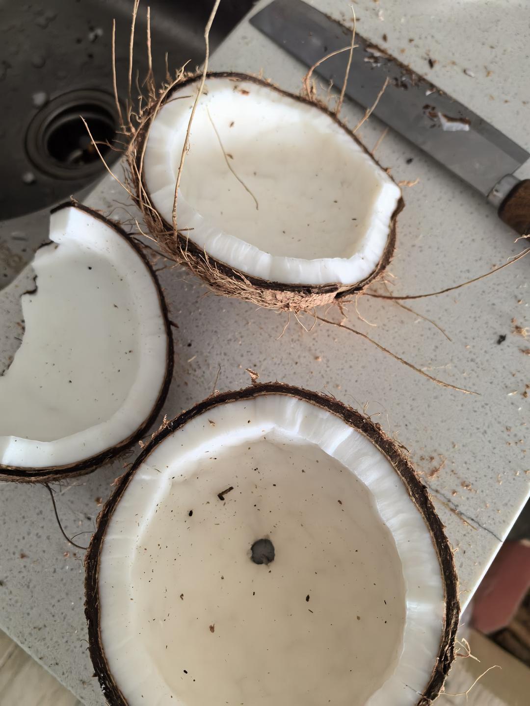 下午茶•2026年2月6日