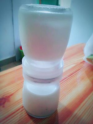 自制酸奶（泡沫箱/电饭锅/烤箱/面包机版）的做法 步骤14