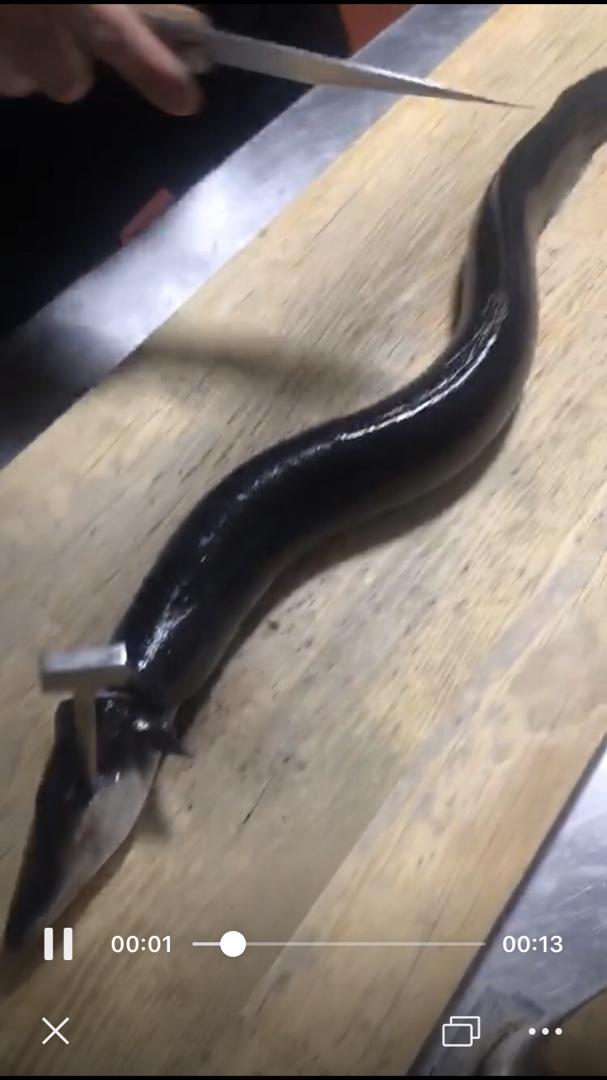 晚餐•2020年3月16日