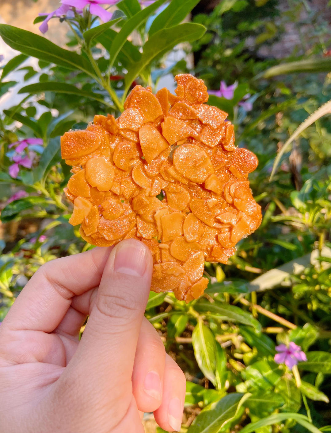 杏仁瓦片：薄脆香酥小零食。