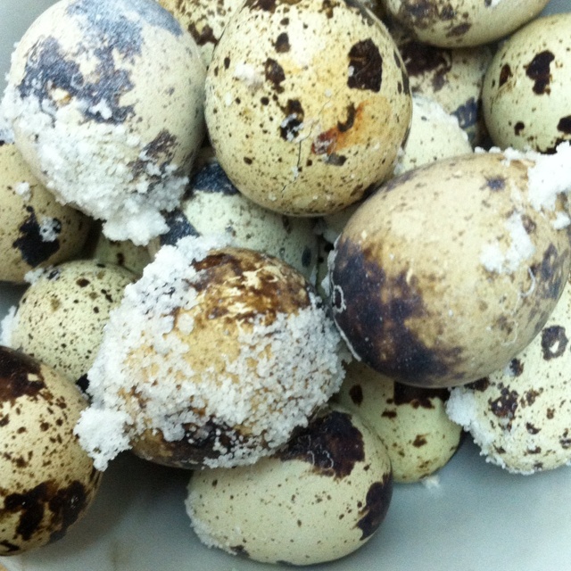 自制盐焗鹌鹑蛋