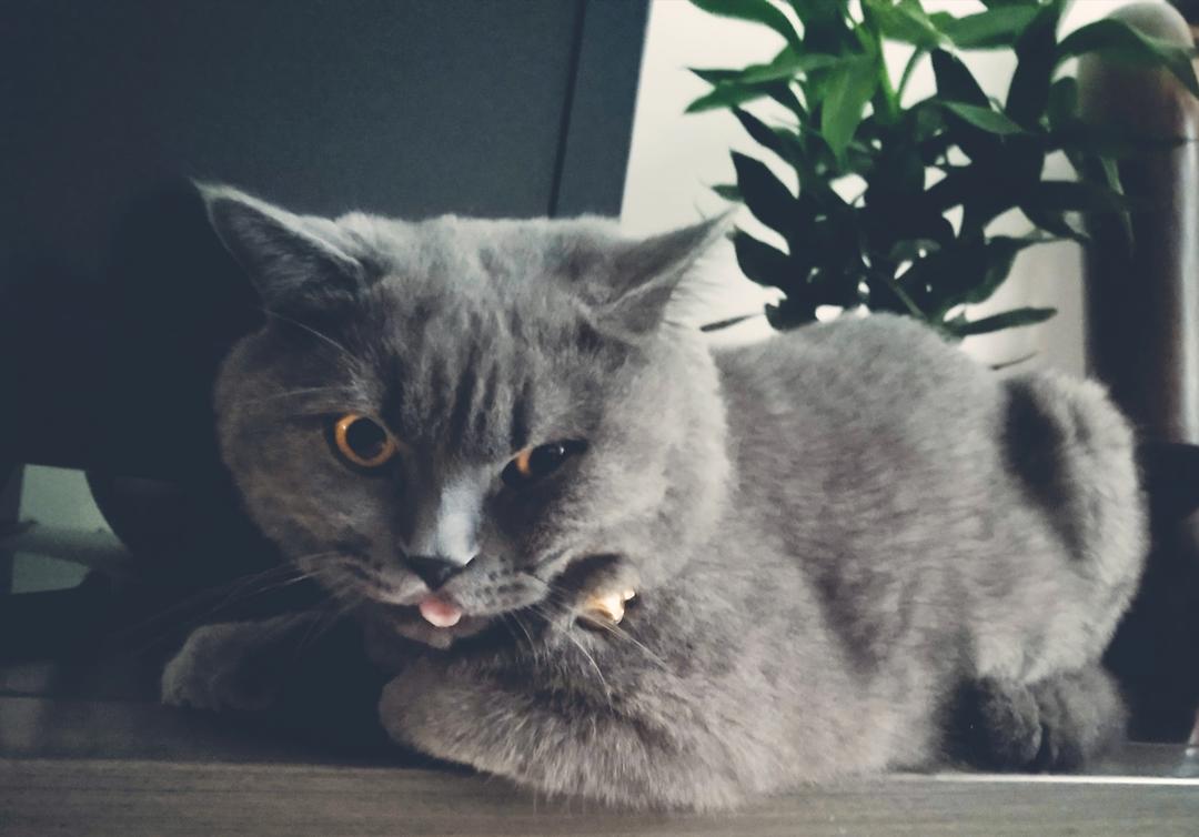 远方有光的做法