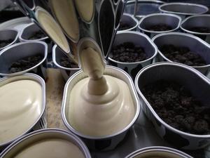 爱尔兰咖啡百利甜冻芝士蛋糕(小盒分享版)的做法 步骤19