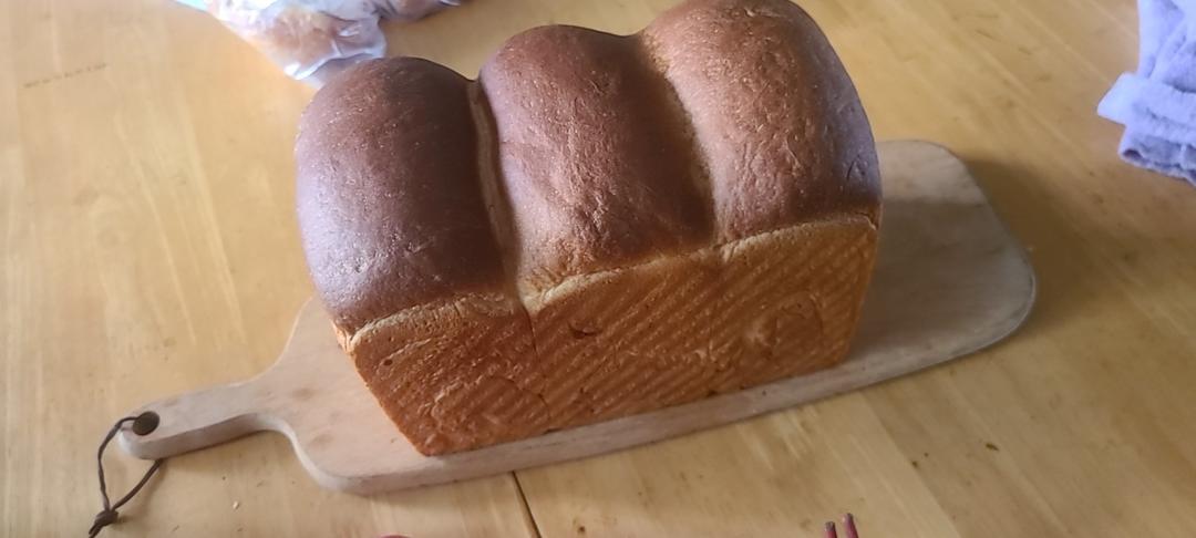 比棉花还柔软的中种北海道吐司