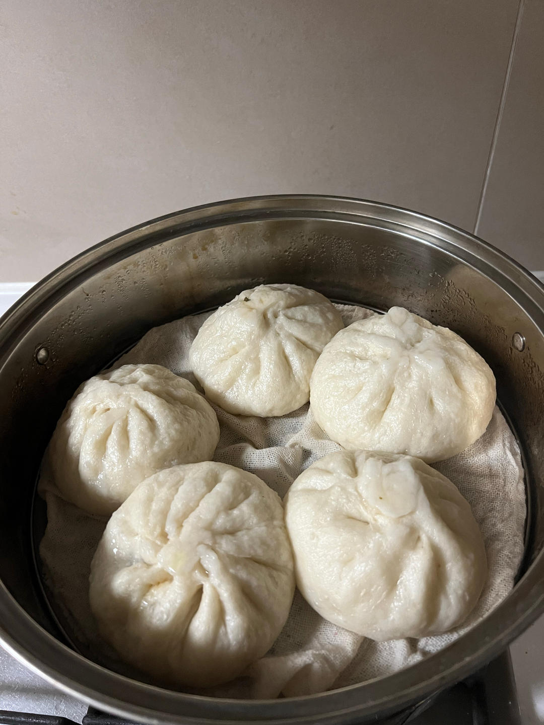 软软软软软面包子（老面包子！波兰种包子！）