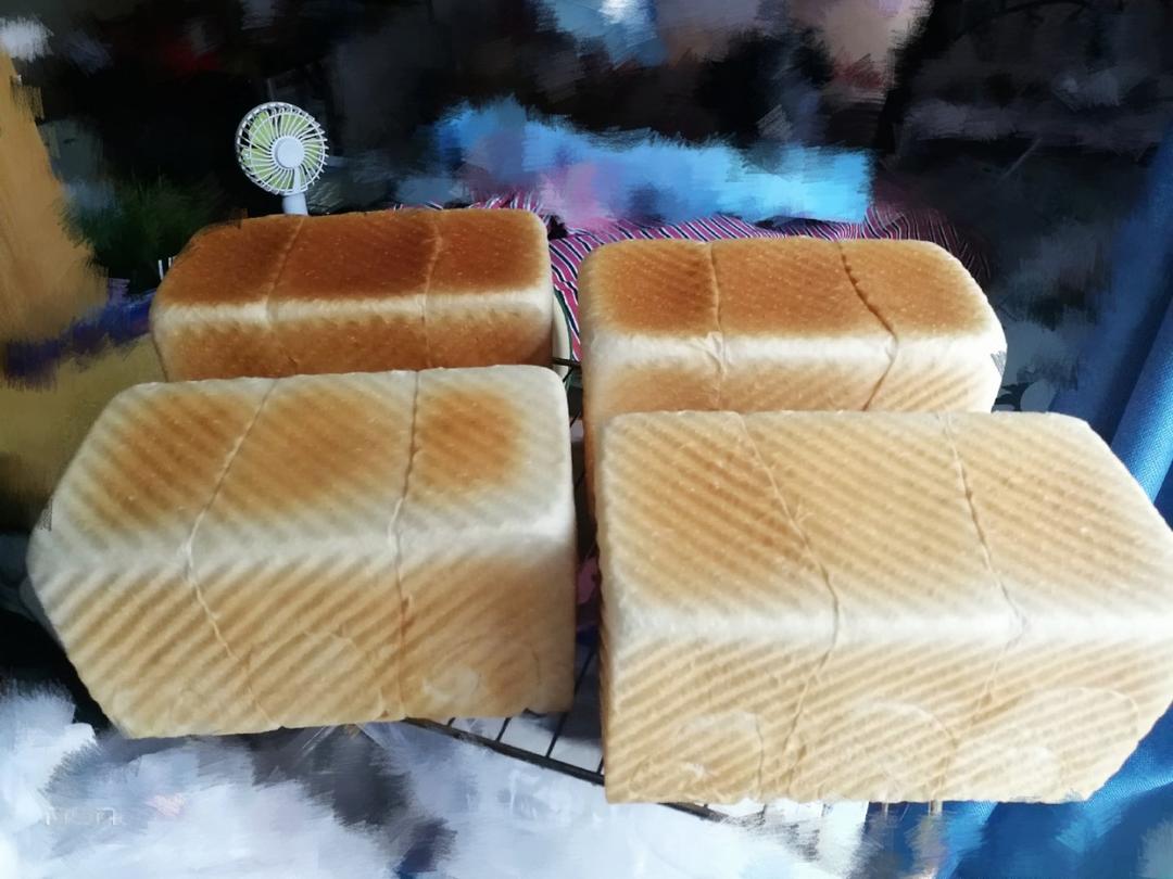 日式生吐司 中种法