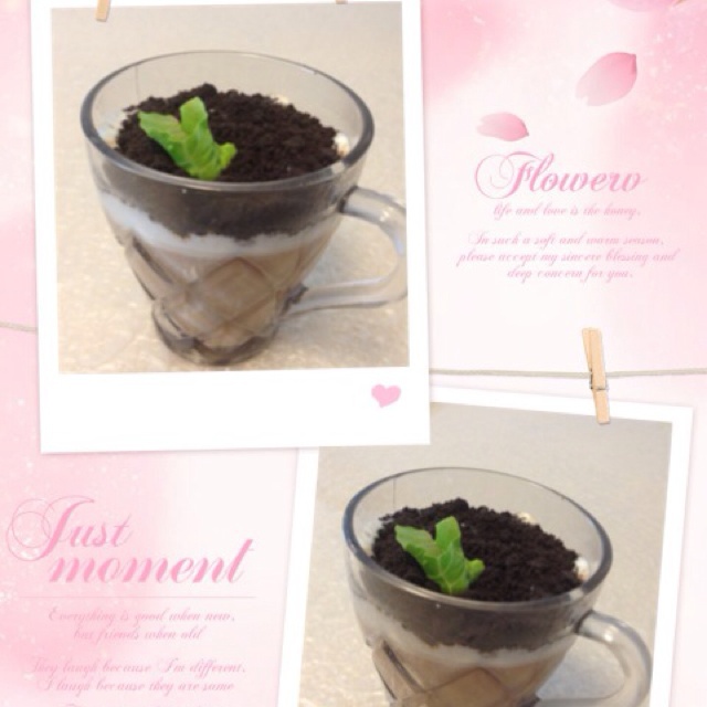 盆栽奶茶