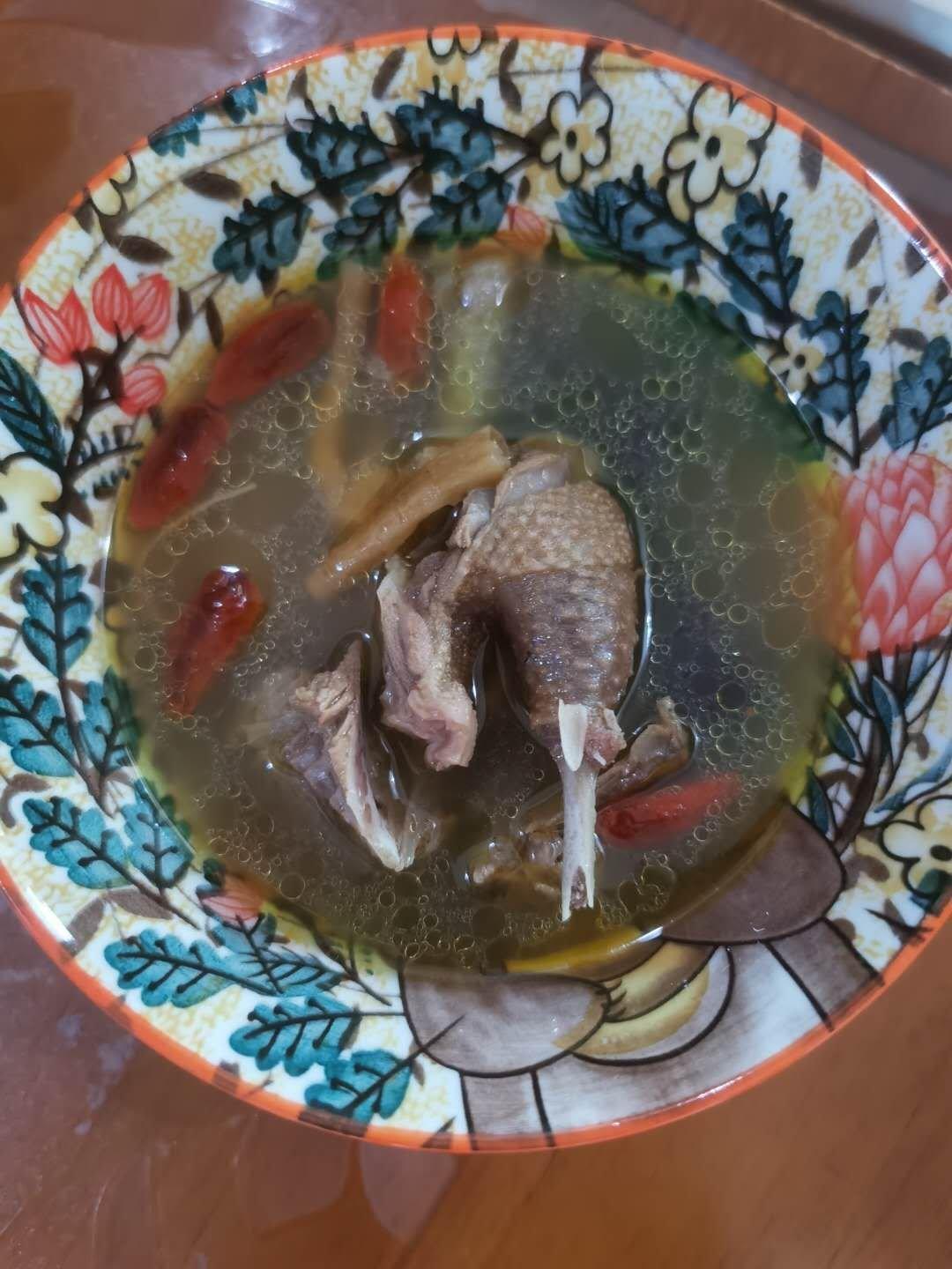 清炖鸽子汤