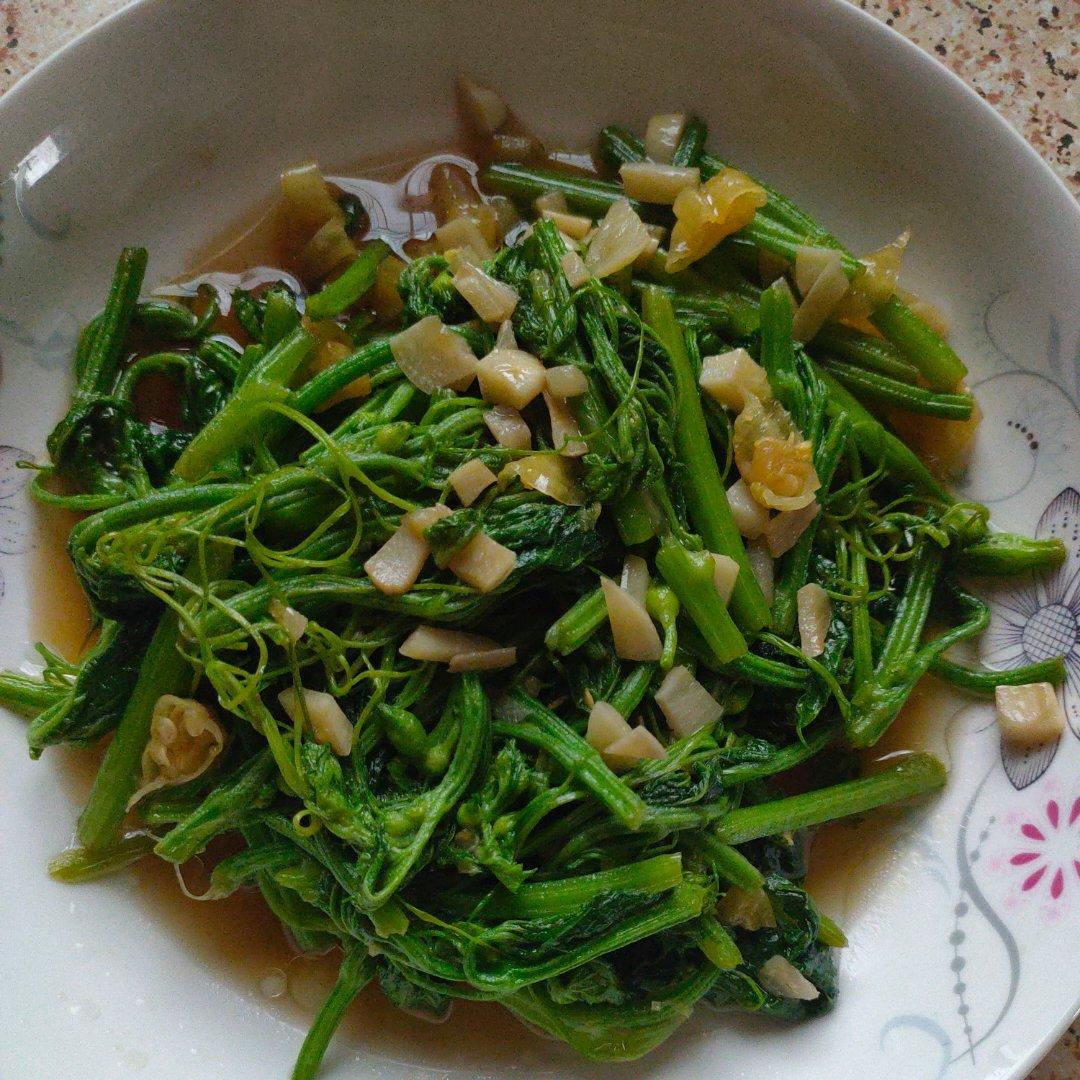 清炒南瓜藤