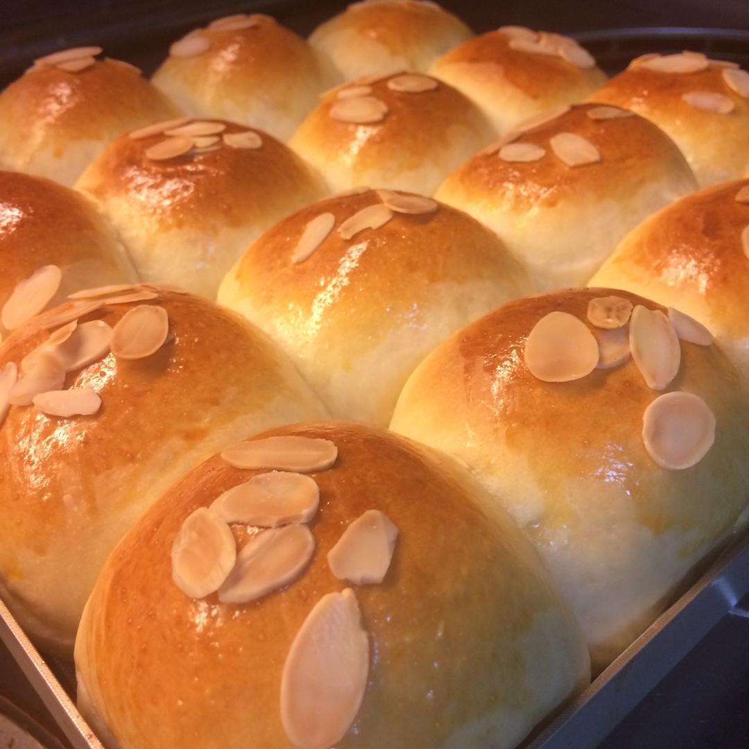 鲜奶油小餐包（一次发酵）