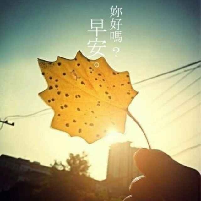 WLF_hsui