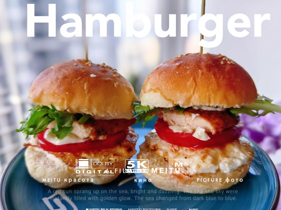 记录一个超级软的万用汉堡胚（波兰种）