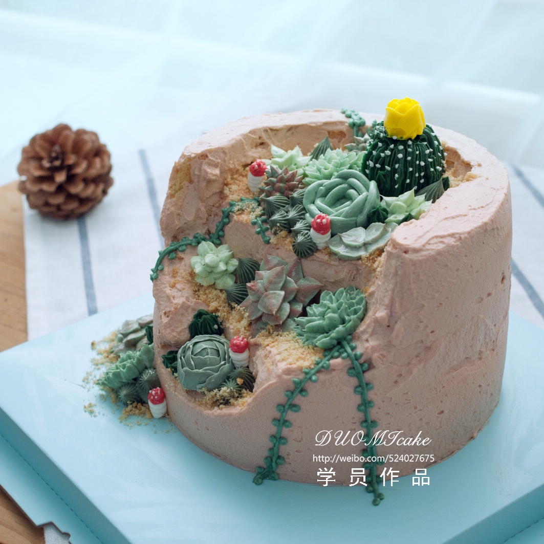 多肉韩式裱花蛋糕