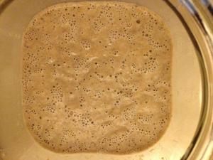 天然酵母培养（《面包圣经》100%水粉比配方）的做法 步骤9