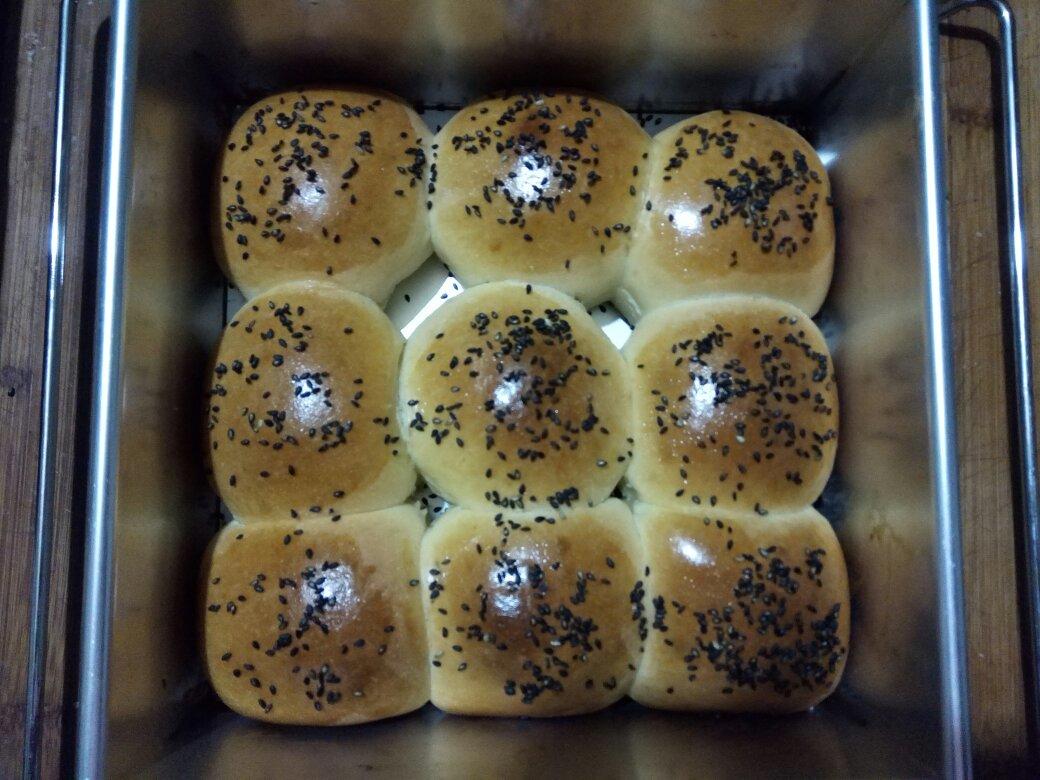 鲜奶油小餐包（一次发酵）