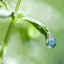 手机用户0726_7w5h