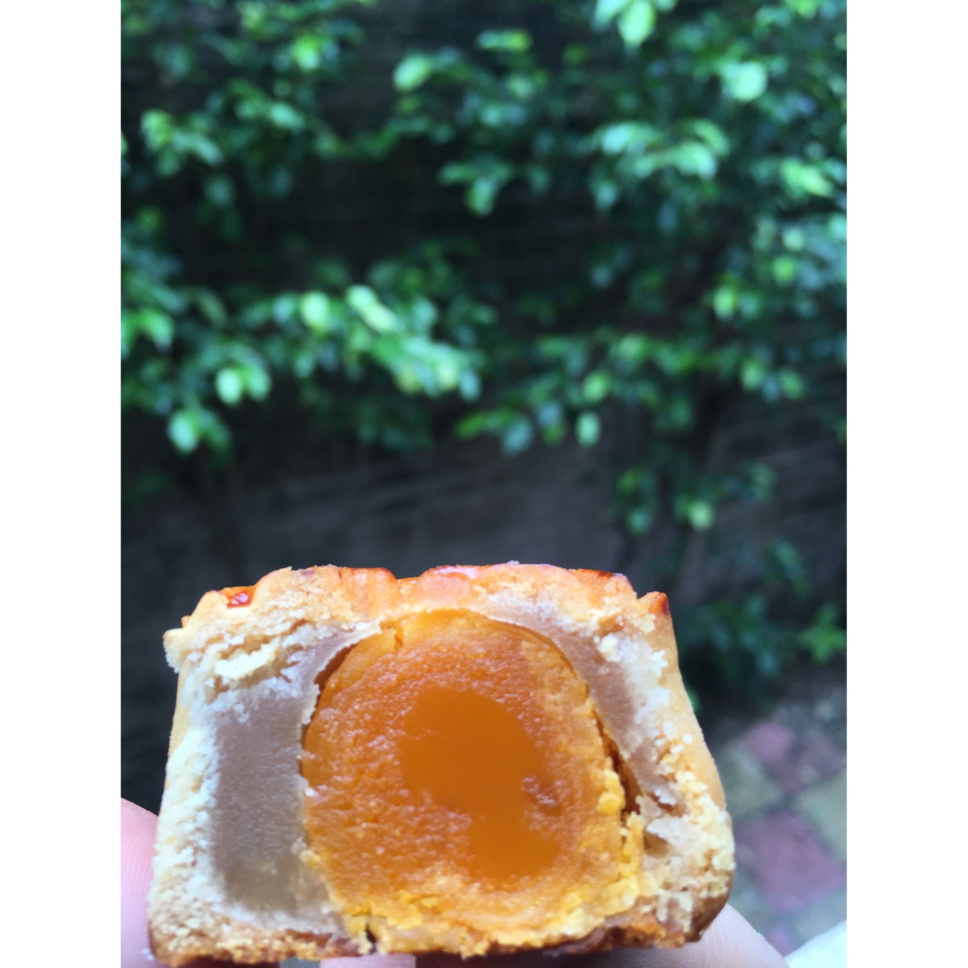 广式月饼.莲蓉蛋黄月饼--广式饼皮制作方法详解及咸蛋黄的处理