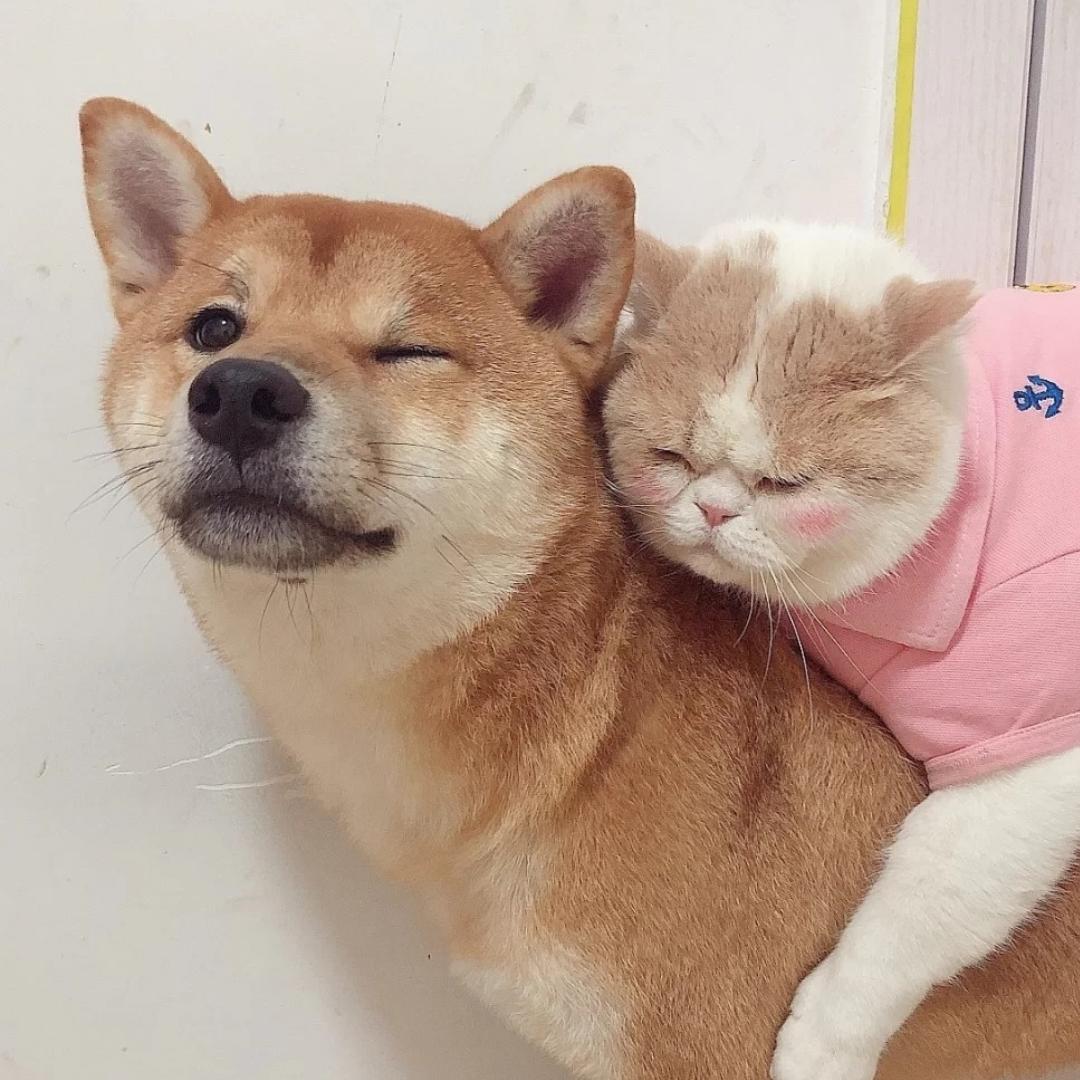 xxxxxxxf