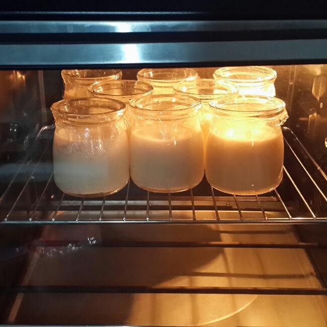 烤箱自制酸奶的做法