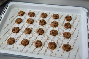 巧克力椰蓉饼干 - 北鼎烤箱食谱的做法 步骤9