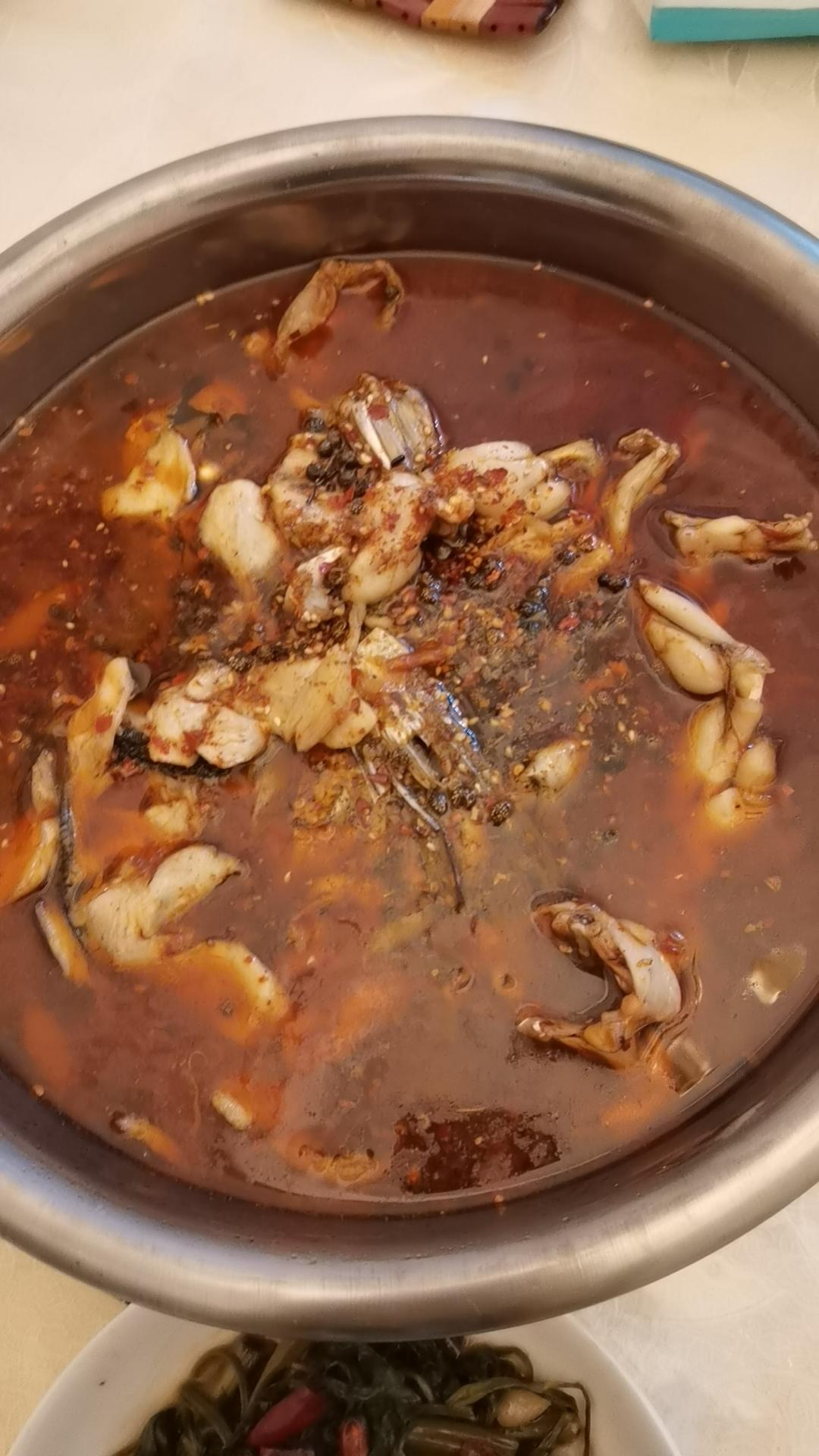 美蛙鱼头🐠