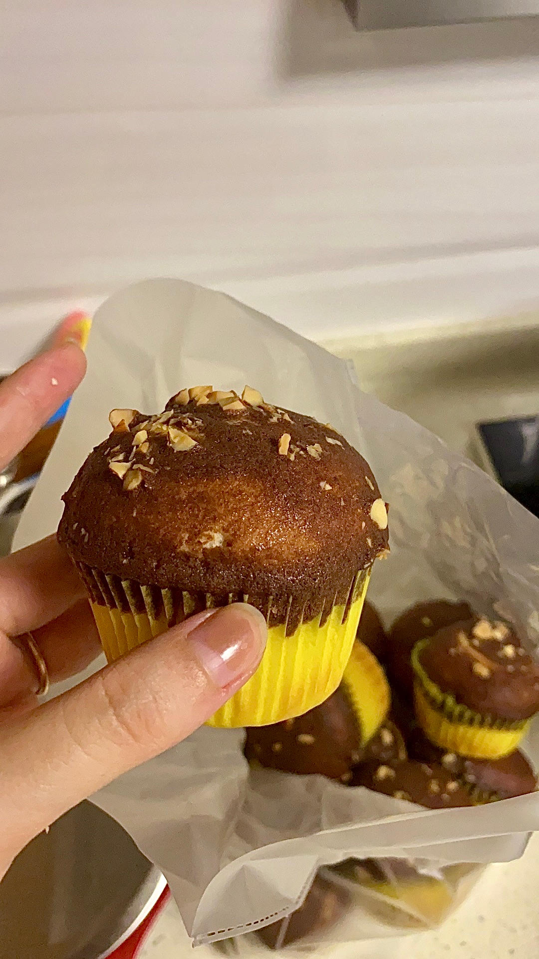 外脆内软❗️一口超幸福的可可墨西哥面包