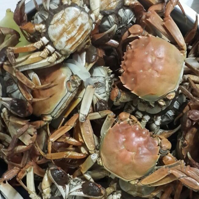 清蒸大螃蟹的做法