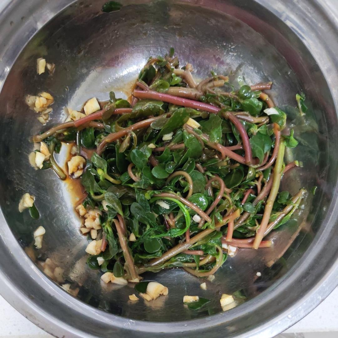 凉拌马齿菜