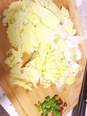 白菜豆腐炖粉条（不加肉）的做法 步骤3