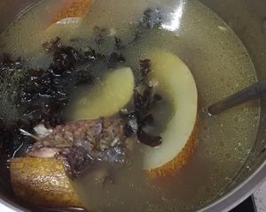 老黄瓜海草猪骨鱼尾汤的做法 步骤1