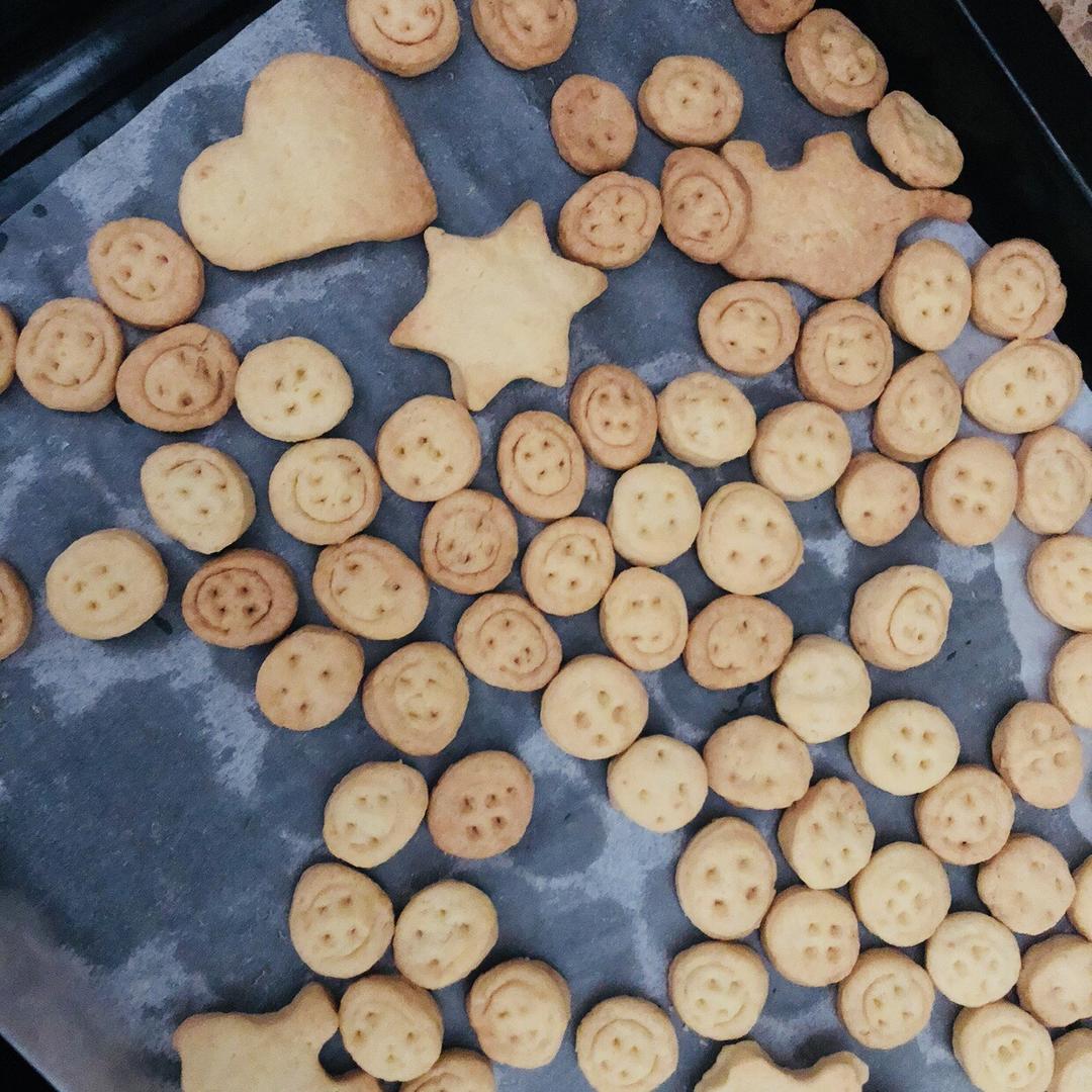 纽扣饼干┃萌到没朋友