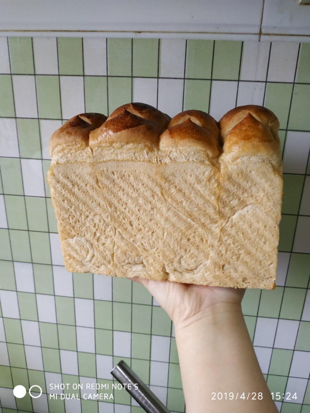 全麦波兰酵头吐司