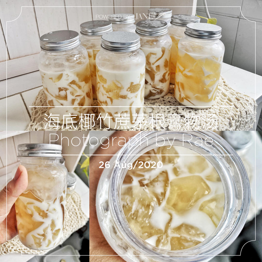 茅根菊花海底椰膏/土茯苓膏