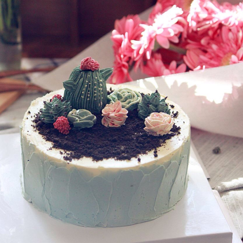 多肉植物仙人球杯子蛋糕（抹茶草莓可可cupcake）