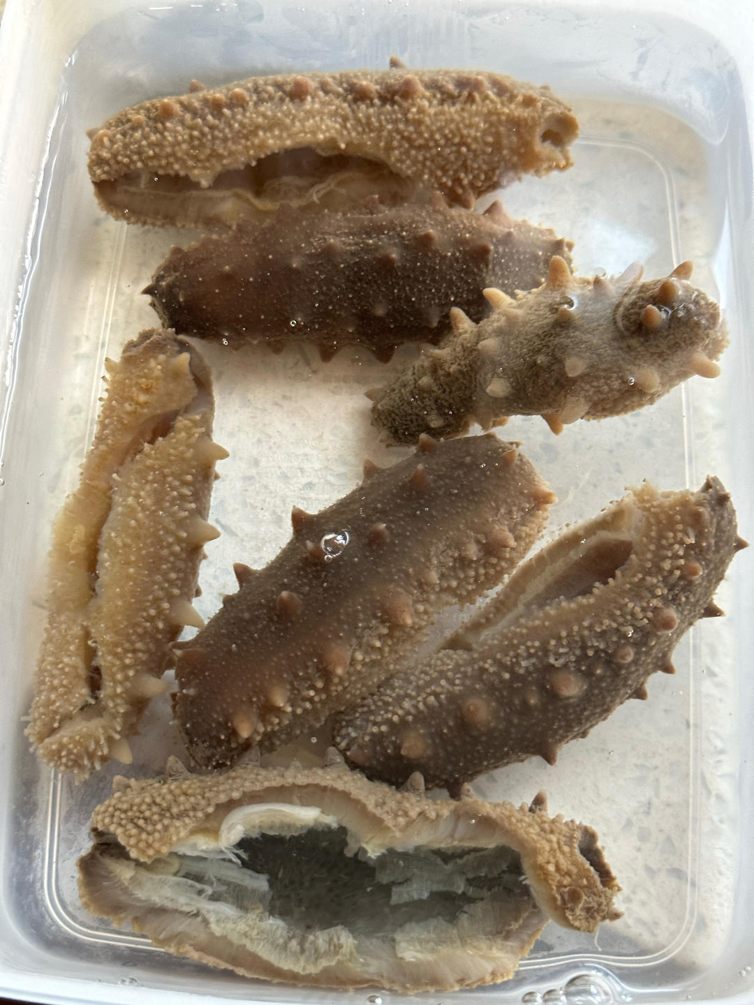 家庭如何泡发干海参