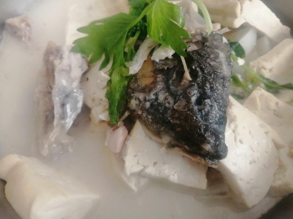 奶白鱼头汤（鲜）