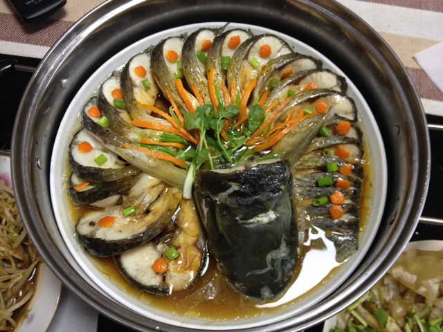 孔雀开屏鱼