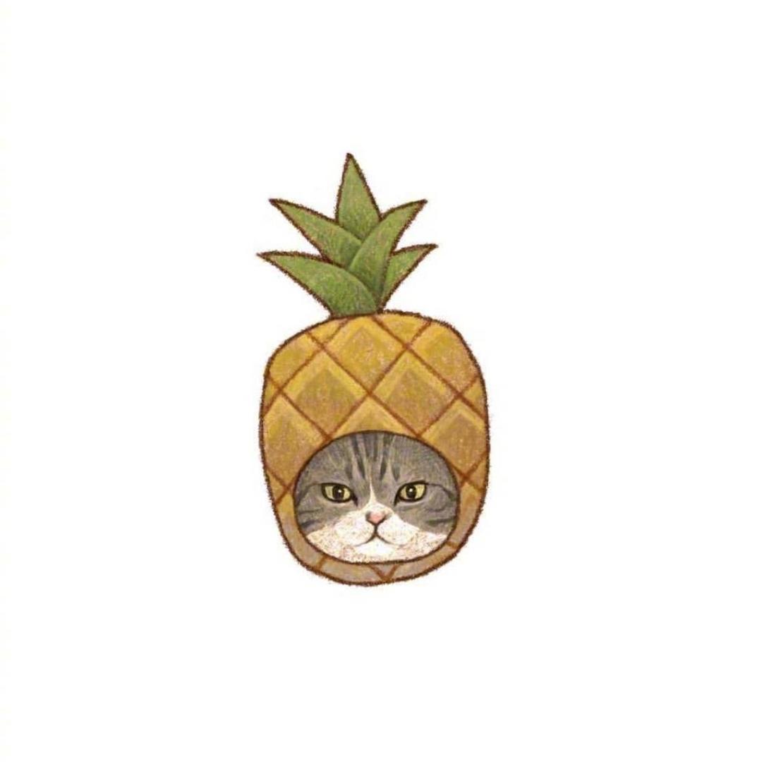 DK喵小姐