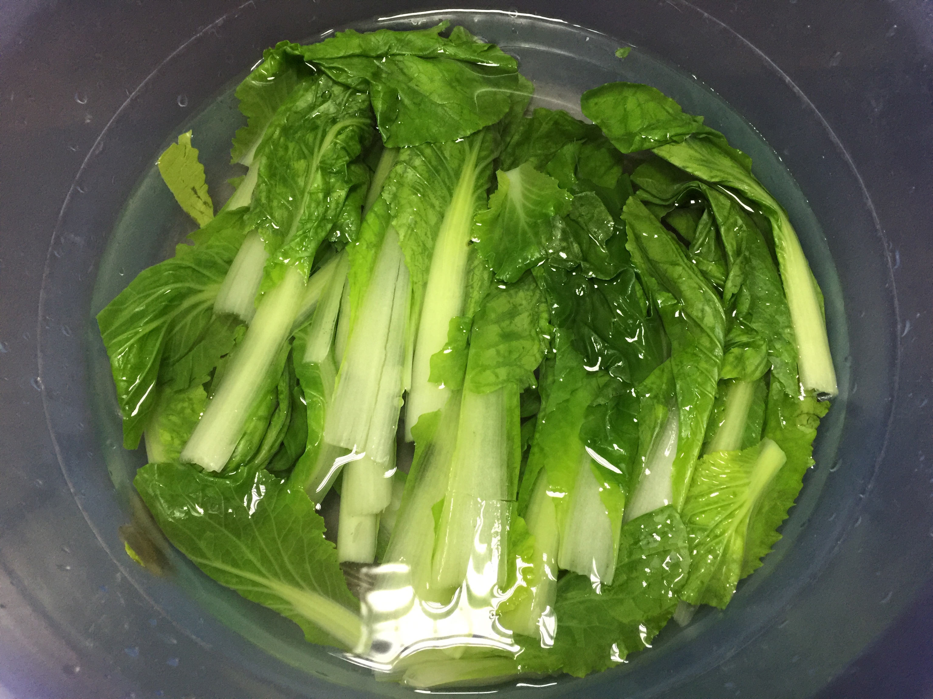 扇贝柱炖小白菜的做法 步骤1
